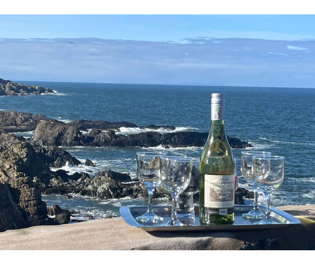 1Wine and glasses