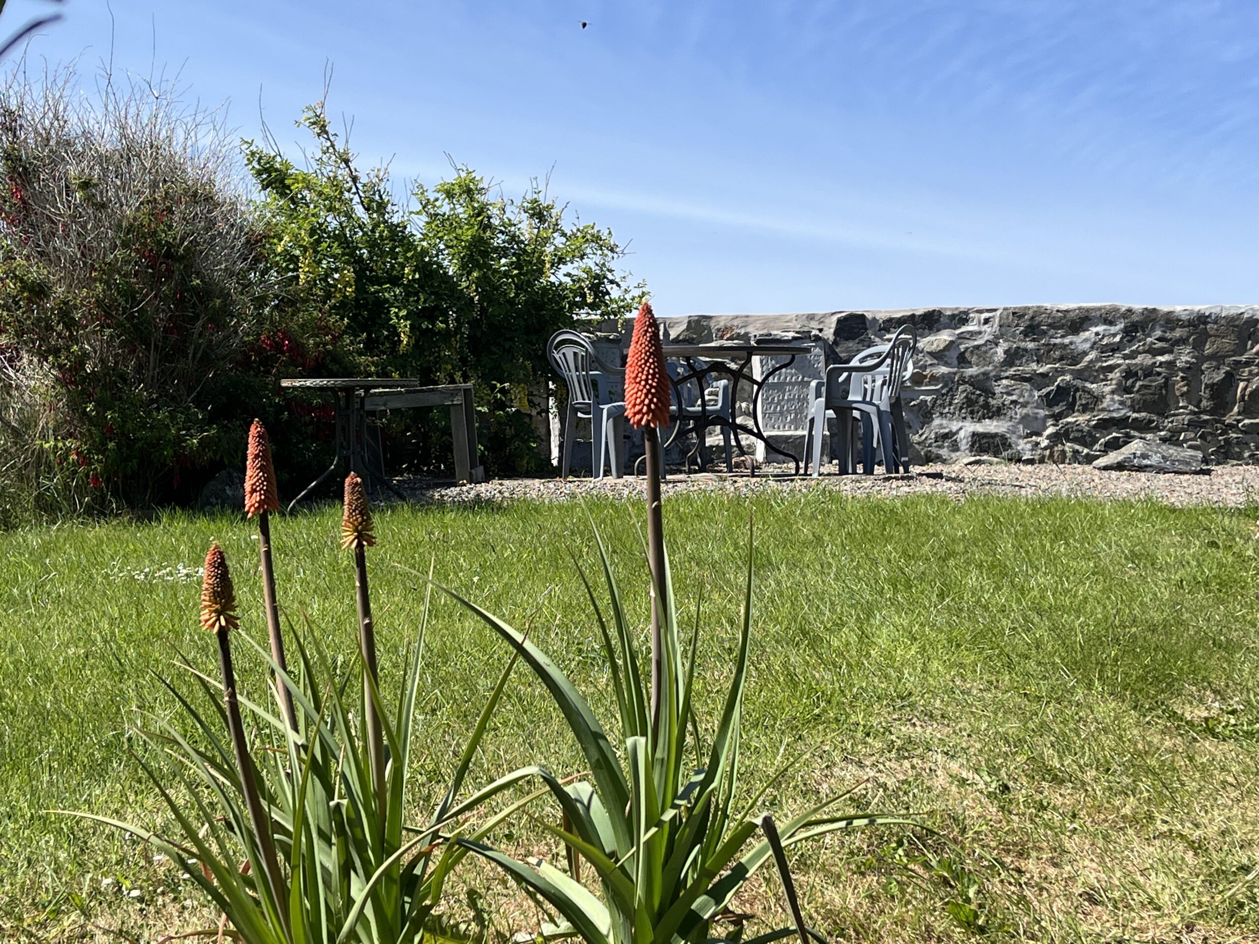 4Garden and patio